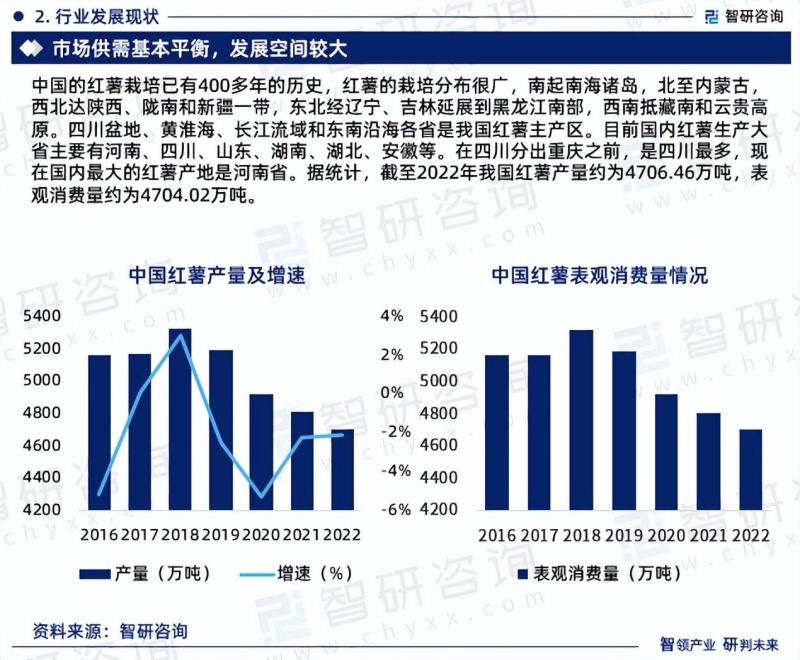 2023年中国红薯行业市场投资前景分析报告