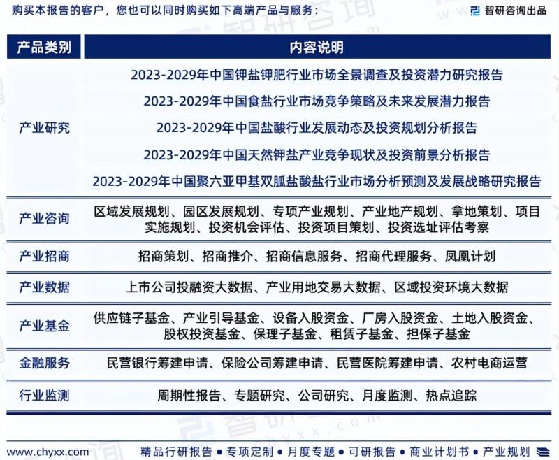 2023年中国工业盐行业市场分析报告