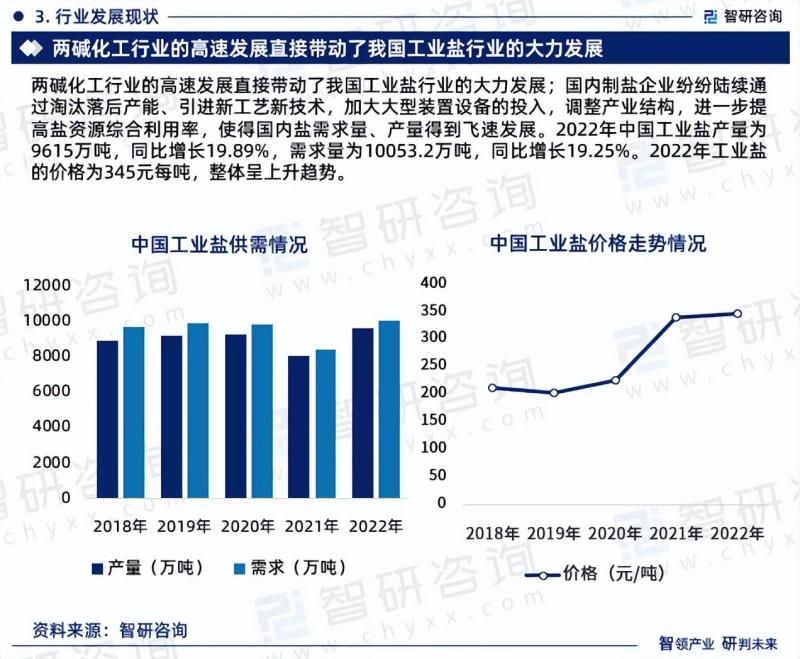2023年中国工业盐行业市场分析报告